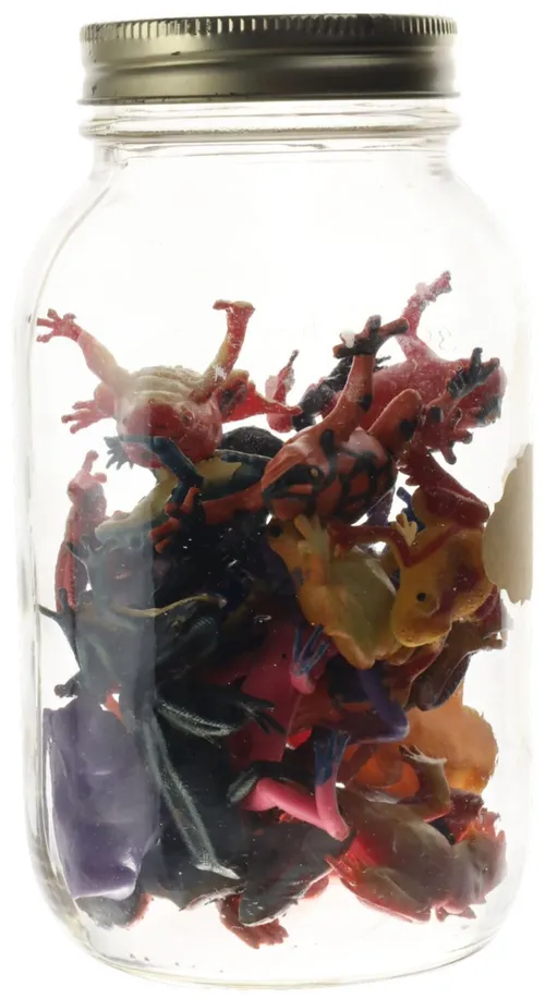 Clear Glass Jar With Rubber Frogs