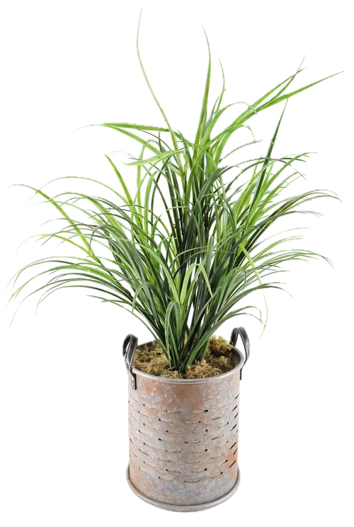 Artificial Cambodian Dragon Tree Plant In Large Galvanized Slatted Pot