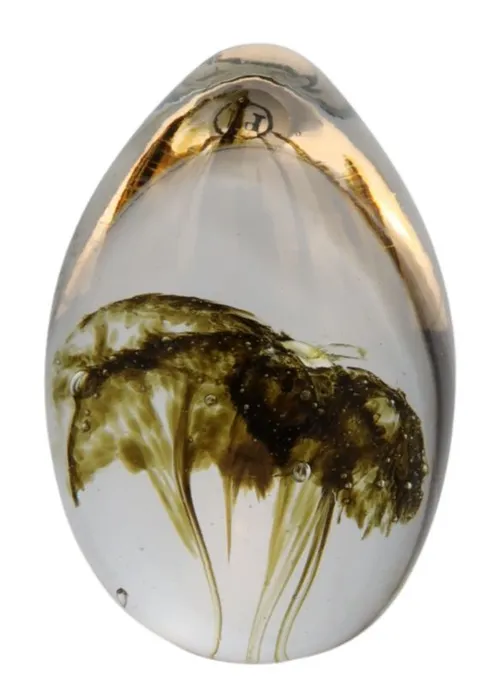 Blown Glass Teardrop  Paperweight With Brown Jellyfish