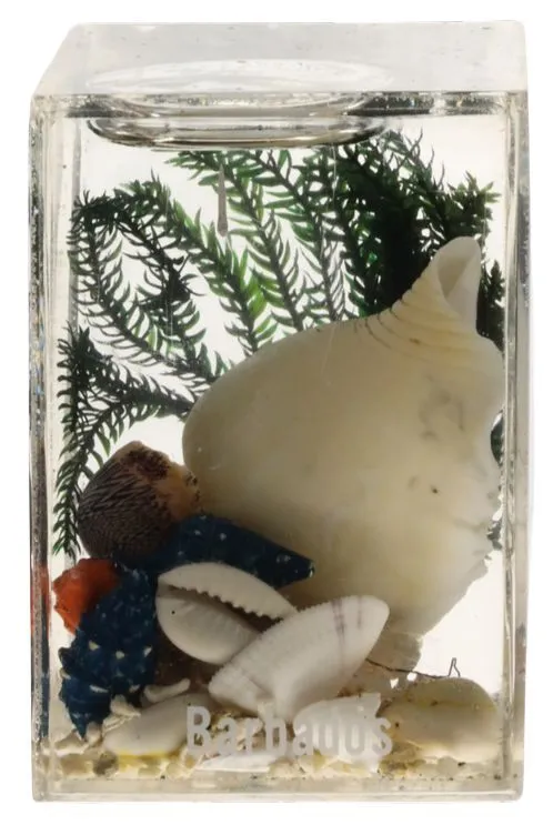 Sea Shells Snowglobe