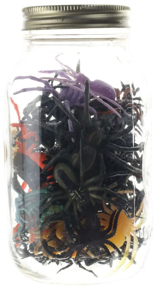 Clear Glass Jar With Rubber Spiders