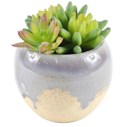 Artificial Succulents In Mauve & Beige Ceramic Pot