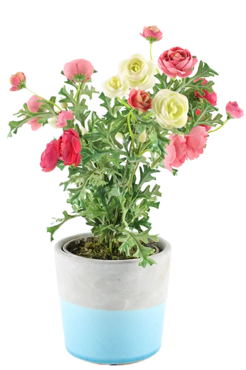 Artificial Red / Pink / White Miniature Roses In Blue Pot