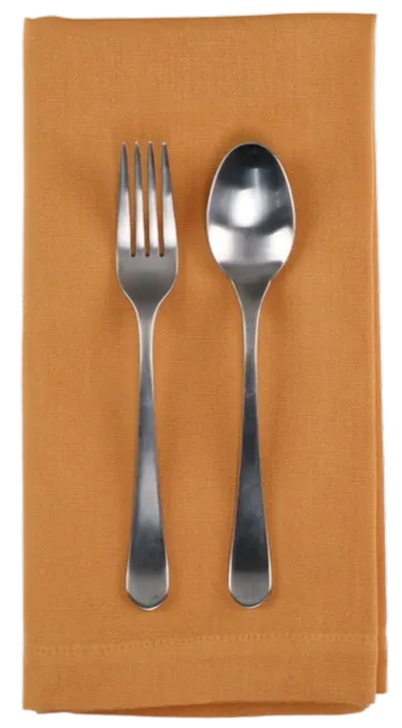Pumpkin Orange Napkin