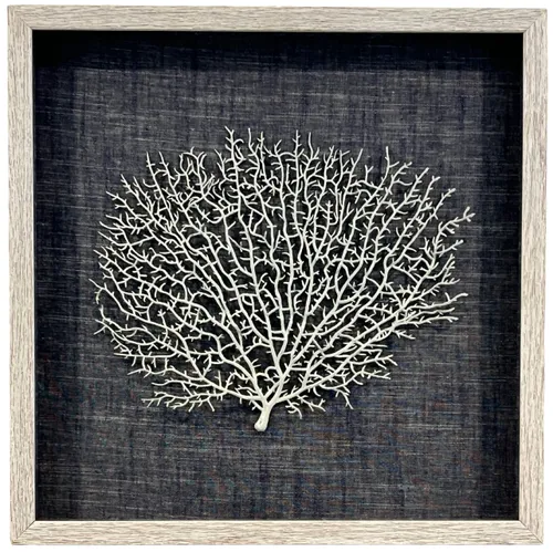 White Coral Fan In White Frame