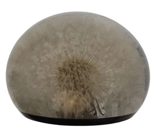 Acrylic Paperweight With Dandelion & Black Base