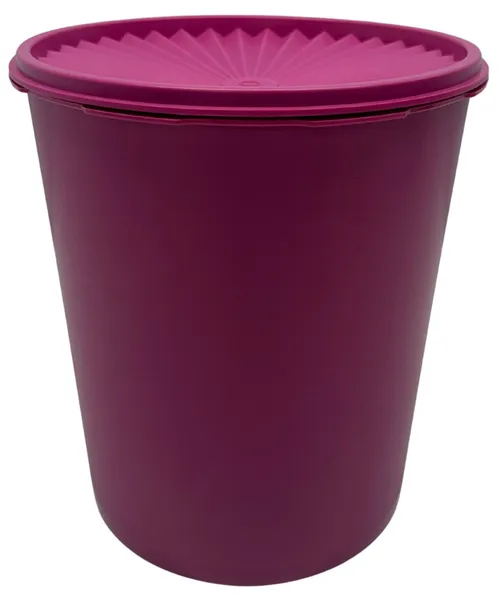 Fuchsia Heritage Plastic Storage Container 
