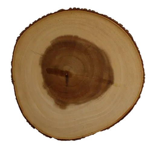 Medium Live Edge Round Ring Cutting Board
