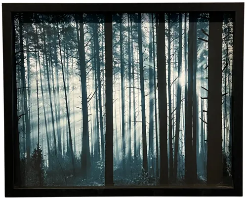 Forest III In Black Frame