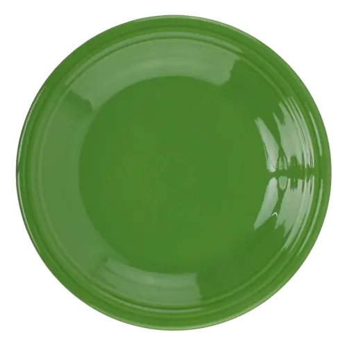 Crocodile Green Dinner Plate 