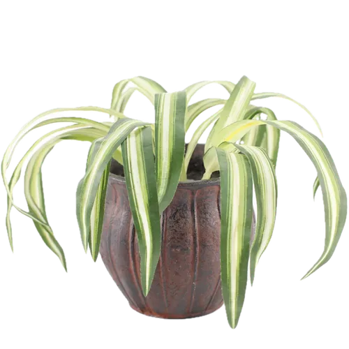 Artificial Spider Plant In Rust Ceramic Pot