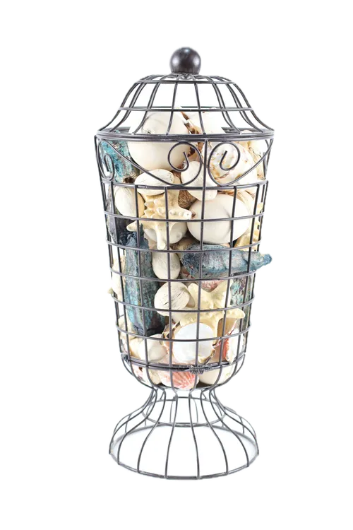 Wire Cage Decorative Seashells