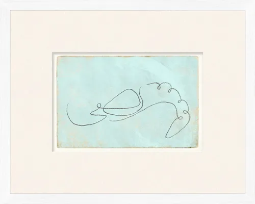 Line Drawing Shrimp On Paper With White Frame