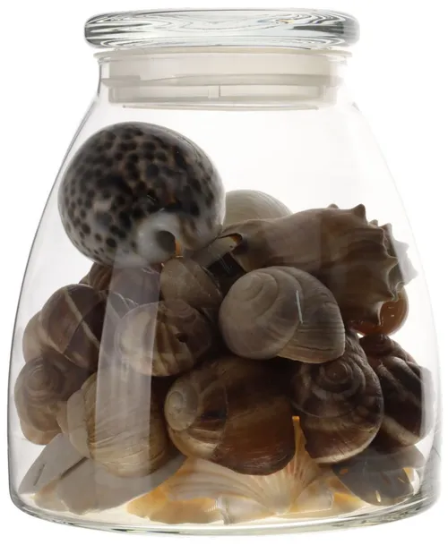 Clear Tapered Glass Jar With Lid Containing Seashells
