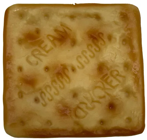 Artificial Cream Cracker