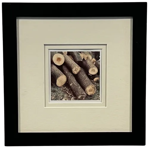 Cut Wood In Black Frame