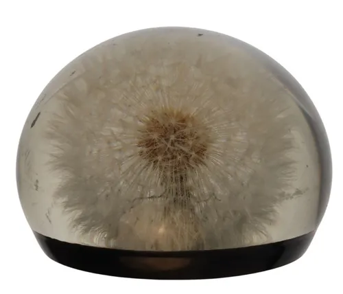Acrylic Paperweight With Dandelion