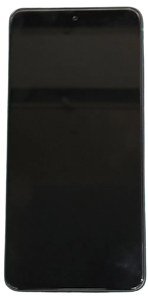 Working Graphite S21 FE Cell Phone With Assorted Cases