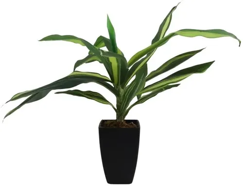 Artificial Dracaena Plant With Black Pot