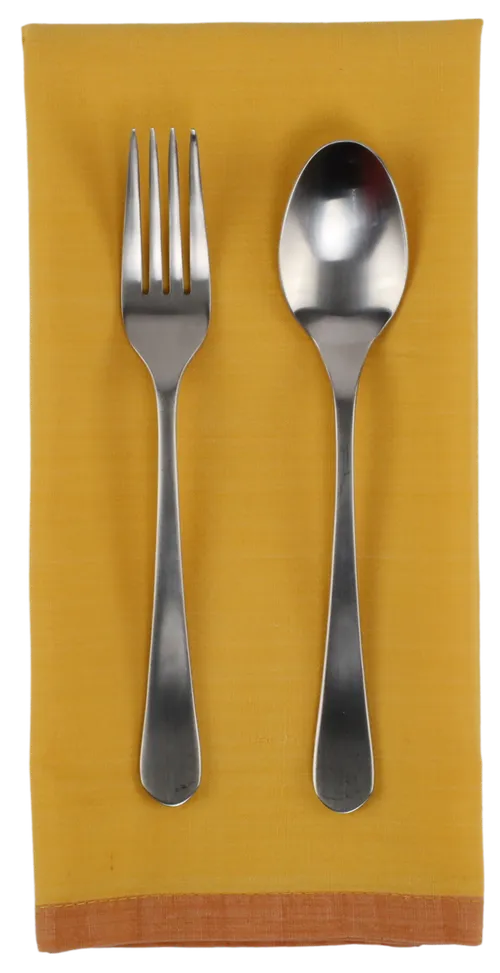 Tangerine Orange With Trim Napkin