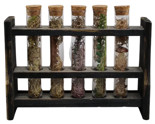 Test Tube Spice & Herb Rack