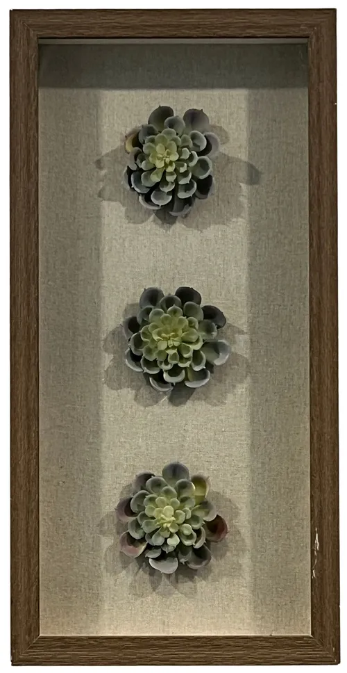 Three Faux Green Succulents In Wood Shadowbox Frame