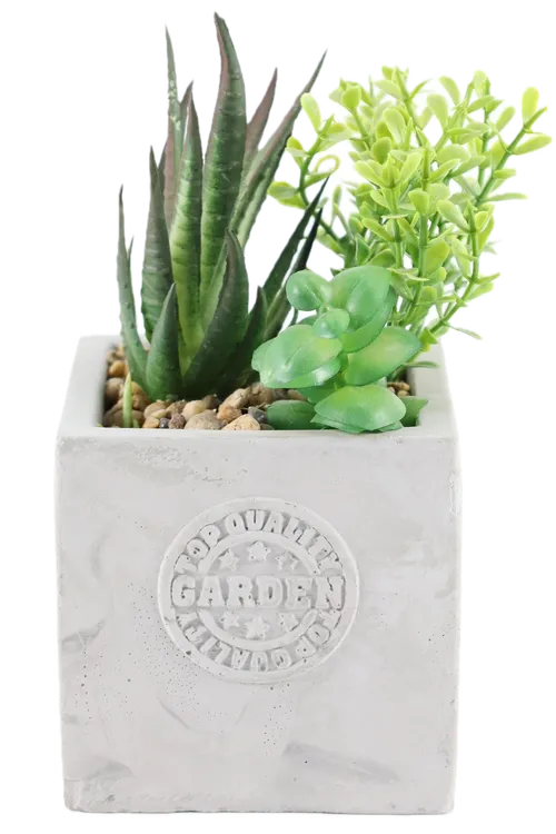 Artificial Assorted Succulents In Square Stone Pot