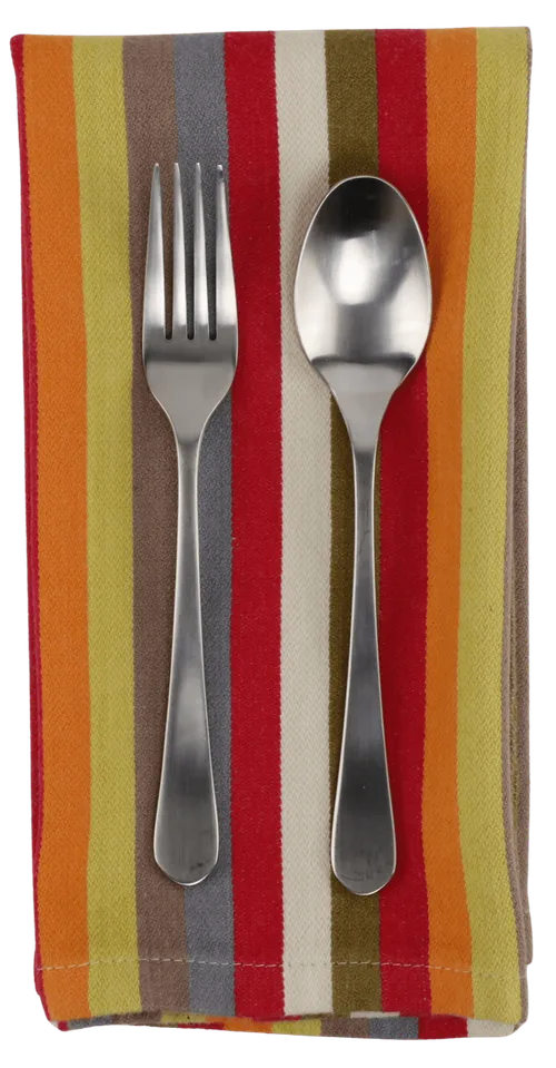 Multicolour Stripe Napkin