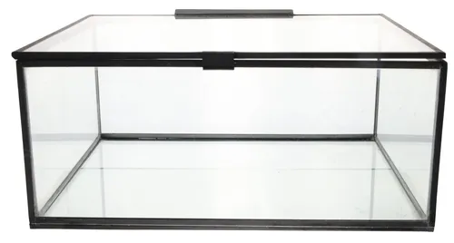 Clear Glass Display Box With Zinc Edging