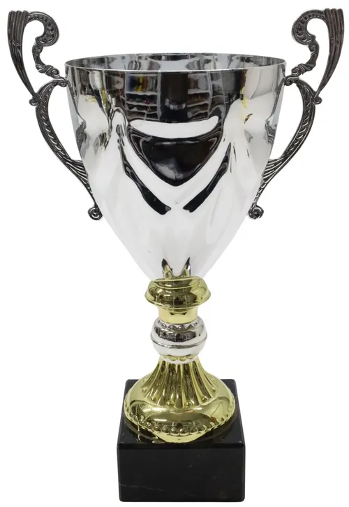 Silver & Gold Trophy Cup On Black Base