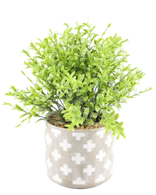 Artificial Boxwood Plant In Grey & White + Ceramic Pot