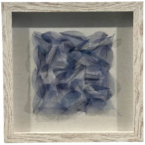 Blue Feathers In White Shadowbox Frame