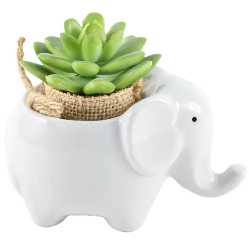 Artificial Alice Evans Succulent Plant In Grey Elephant Ceramic Pot