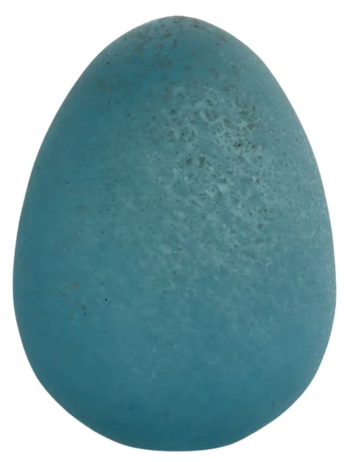 Etched Blue Glass Egg Object