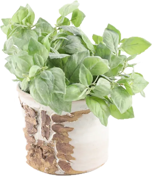 Artificial Sweet Basil Plant In Rustic Bark Ceramic Pot