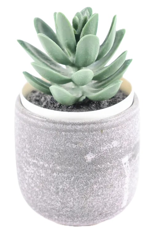 Artificial Stonecrop Succulent In Grey Speckled Ceramic Pot