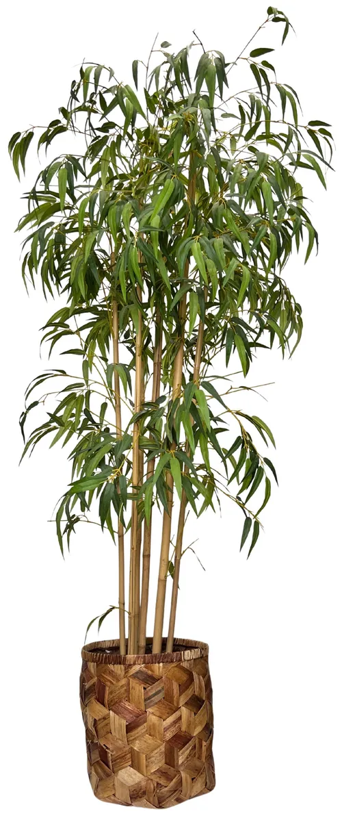 Artificial Bamboo Tree In Woven Basket 