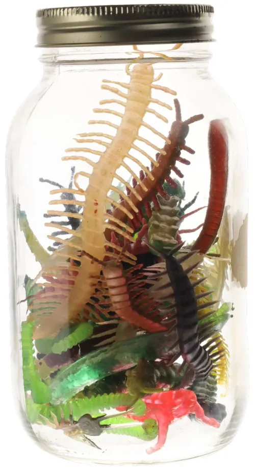 Clear Glass Jar With  Assorted Rubber Bugs & Insects