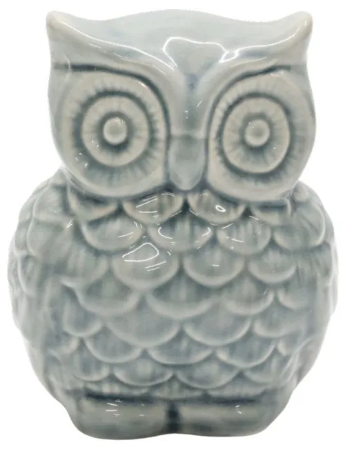 Light Blue Ceramic Wise Owl