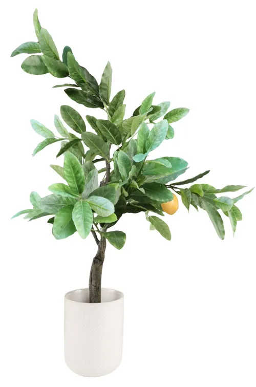 Artificial Orange Tree With White Ceramic Pot
