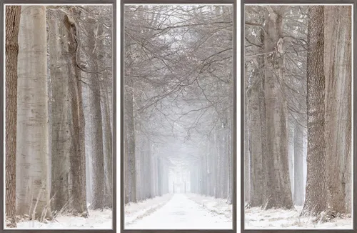 Forest Path Photograph Triptych With Wood Frame
