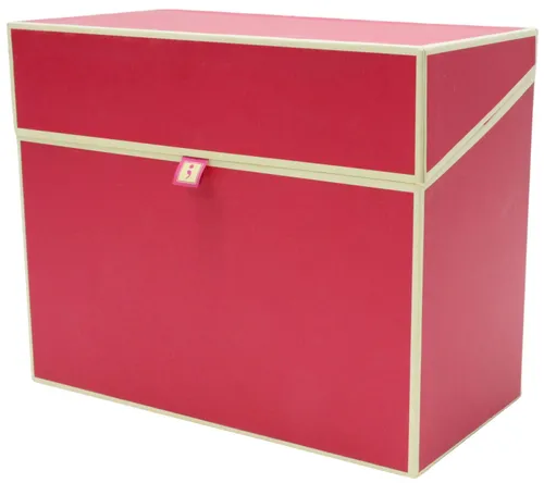 Hot Pink Document Storage Box