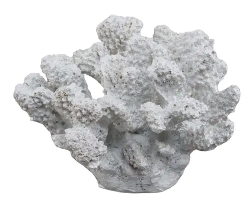 White Resin Sea Coral