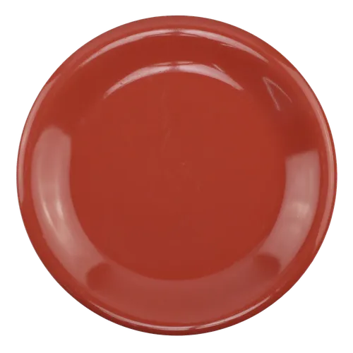 Salmon Pink Dinner Plate