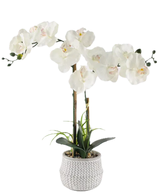 Artificial White Moth Orchid In Grey Ceramic Vase
