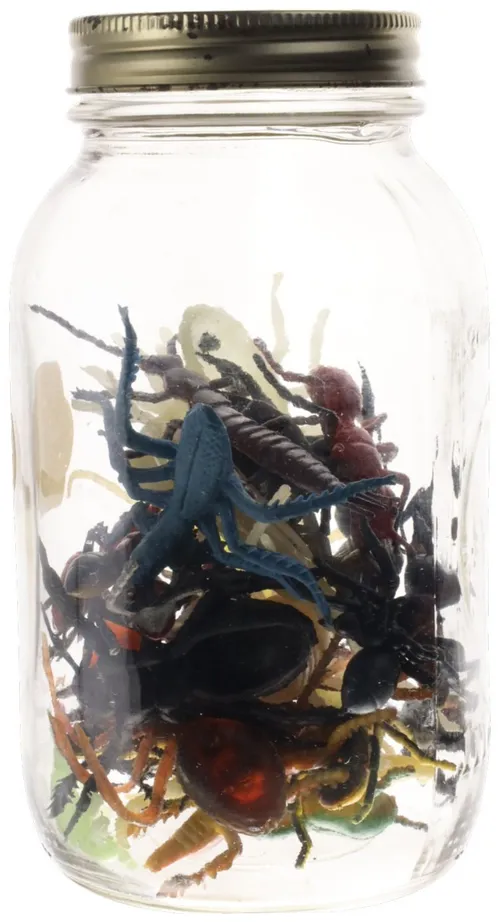 Clear Glass Jar Containing Ants & Other Insects