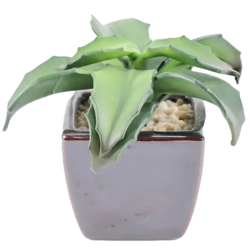 Artificial Walking Kalanchoe Succulent Plant In Brown Ceramic Pot