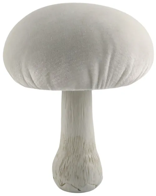 White Mushroom