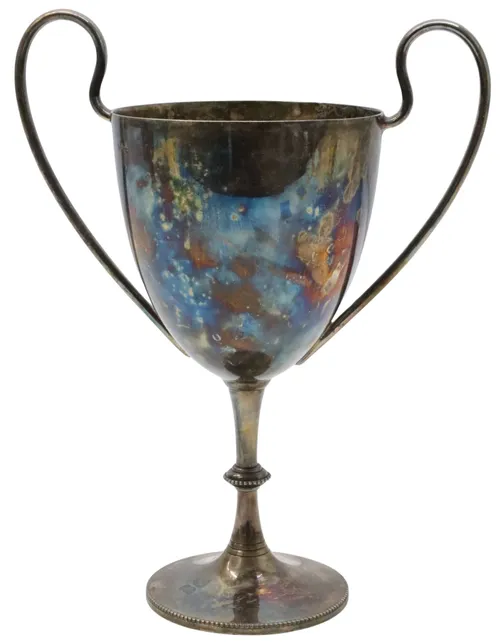 Silver Plated Trophy Cup