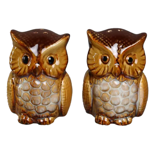 Barn Owl Ceramic Salt & Pepper Shaker Set